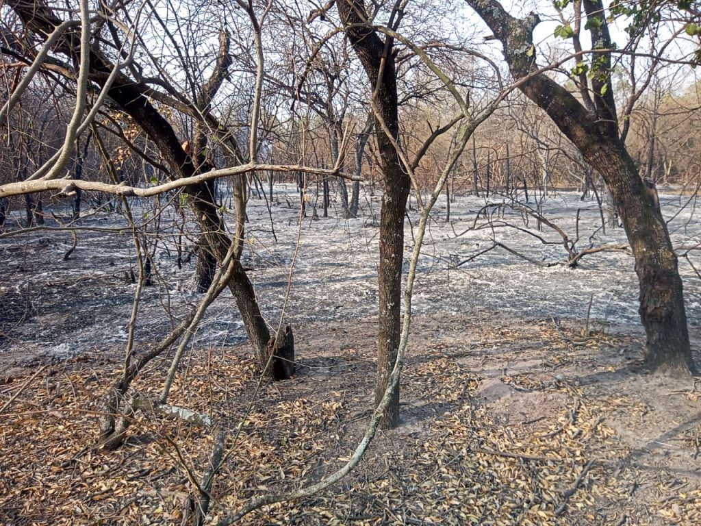 En trabajo conjunto logran controlar incendios en la zona rural de Miraflores