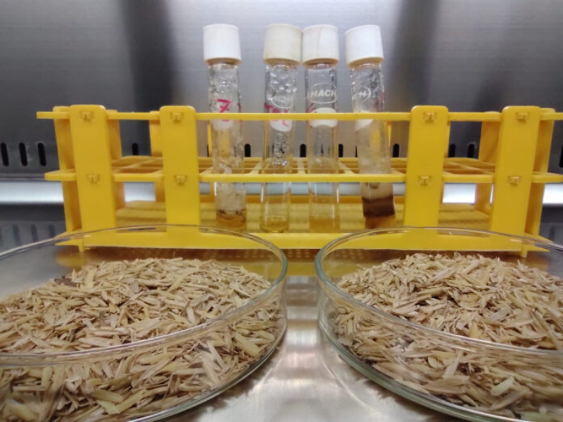 La UNNE pone en marcha un proyecto para desarrollar la biotecnología en la región La UNNE pone en marcha un proyecto para desarrollar la biotecnología en la región