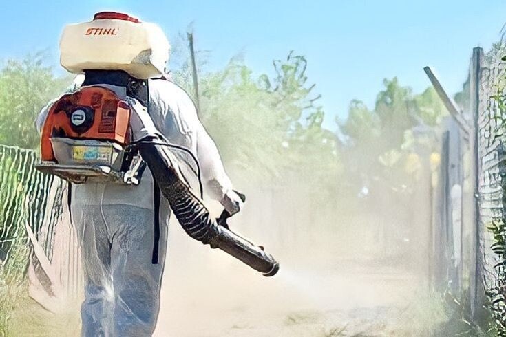 Advierten que subirán los casos de dengue en la Argentina Advierten que subirán los casos de dengue en la Argentina