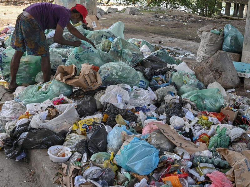 El 30% de los alimentos se desperdicia mientras 735 millones de personas pasan hambre El 30% de los alimentos se desperdicia mientras 735 millones de personas pasan hambre