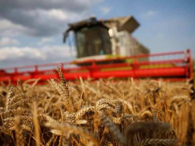 Precios internacionales: las bajas le restan casi US$ 2.000 millones al superávit comercial en 2024 Precios internacionales: las bajas le restan casi US$ 2.000 millones al superávit comercial en 2024