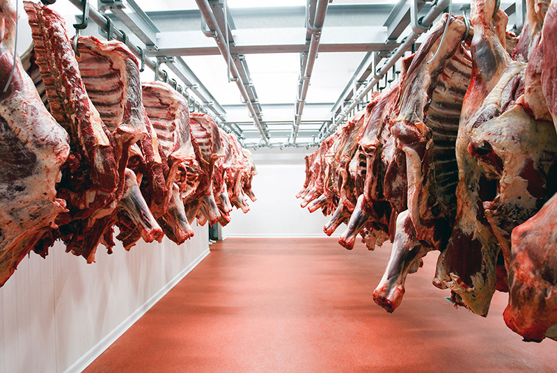 El gobierno formalizó la distribución de carne vacuna a exportar a Estados Unidos El gobierno formalizó la distribución de carne vacuna a exportar a Estados Unidos