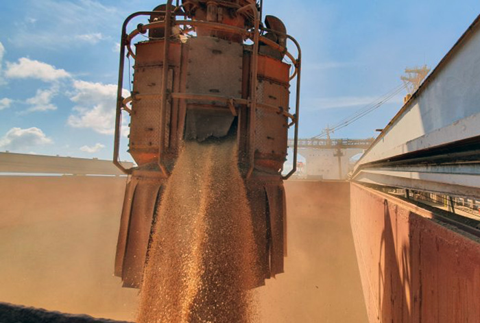 Liquidación de divisas 2025: el agro en el podio histórico con U$S 6.250 millones más que 2024 Liquidación de divisas 2025: el agro en el podio histórico con U$S 6.250 millones más que 2024