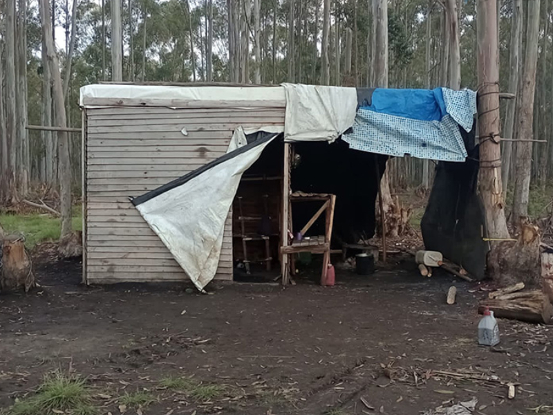 Rescatan a tres personas víctimas de trata laboral en Concordia Rescatan a tres personas víctimas de trata laboral en Concordia