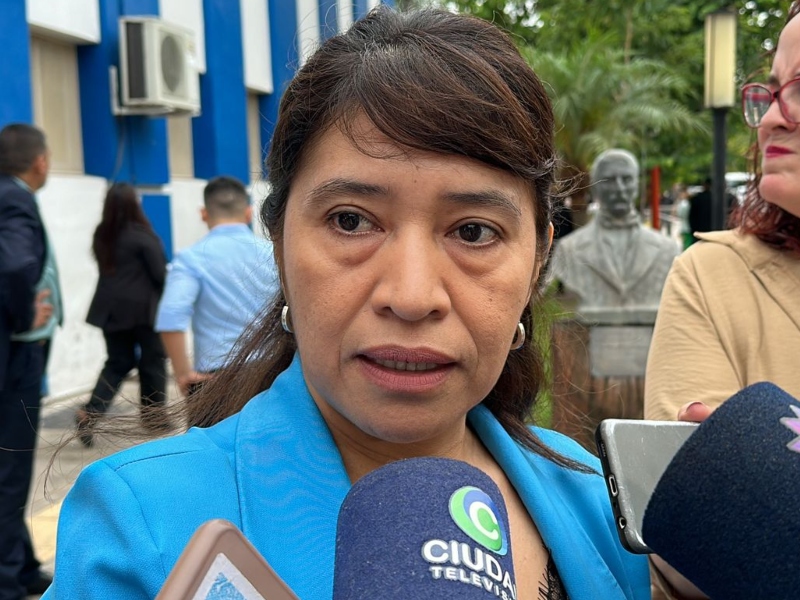 Charole: “Por la crisis económica hemos propuesto suspender las PASO por un año” Charole: “Por la crisis económica hemos propuesto suspender las PASO por un año”