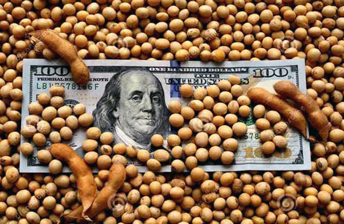 Inédito: en este mes Argentina exportará más poroto que harina de soja gracias a la “aspiradora” china Inédito: en este mes Argentina exportará más poroto que harina de soja gracias a la “aspiradora” china