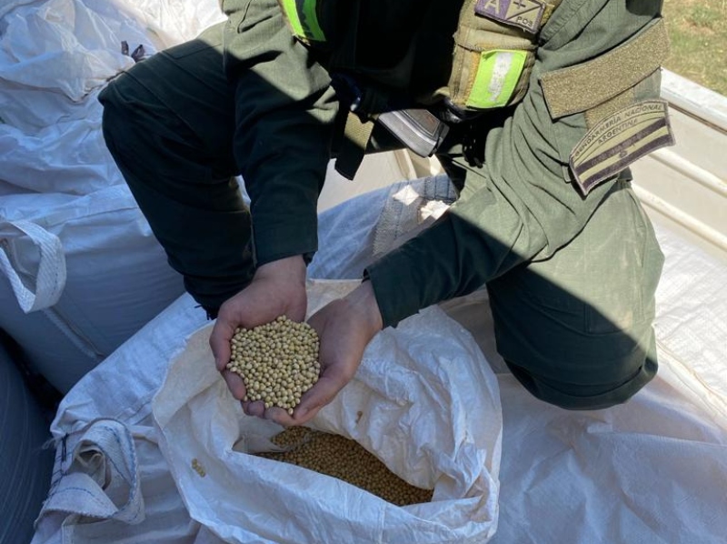 Secuestraron más de 56 toneladas de soja ilegal en dos procedimientos Secuestraron más de 56 toneladas de soja ilegal en dos procedimientos