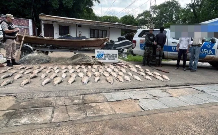 Operativo ‘Pasión de Sábalo’: Prefectura secuestró 300 kilos de pescados en Corrientes Operativo ‘Pasión de Sábalo’: Prefectura secuestró 300 kilos de pescados en Corrientes