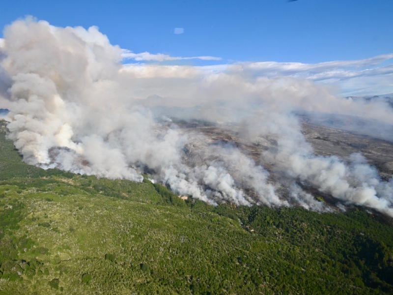 El Gobierno nacional será querellante en la investigación por el incendio en Los Alerces El Gobierno nacional será querellante en la investigación por el incendio en Los Alerces