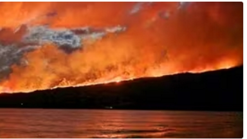 Chubut será querellante por los incendios y apunta contra una conflictiva agrupación mapuche Chubut será querellante por los incendios y apunta contra una conflictiva agrupación mapuche