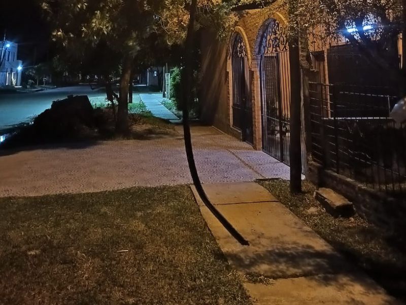 Dan con otro sujeto que pretendía llevar cables del tendido eléctrico Dan con otro sujeto que pretendía llevar cables del tendido eléctrico