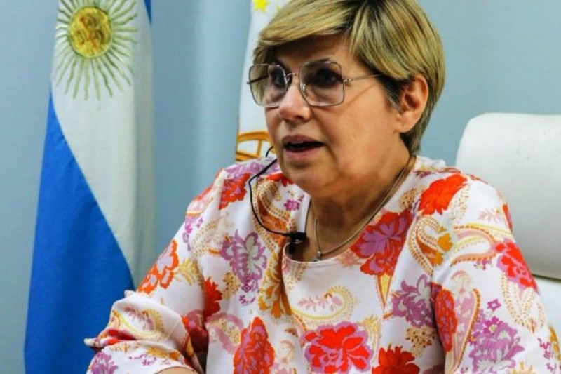 Sofía Naidenoff: “Hay que promover en los chicos el aprender, no el memorizar ni repetir” Sofía Naidenoff: “Hay que promover en los chicos el aprender, no el memorizar ni repetir”
