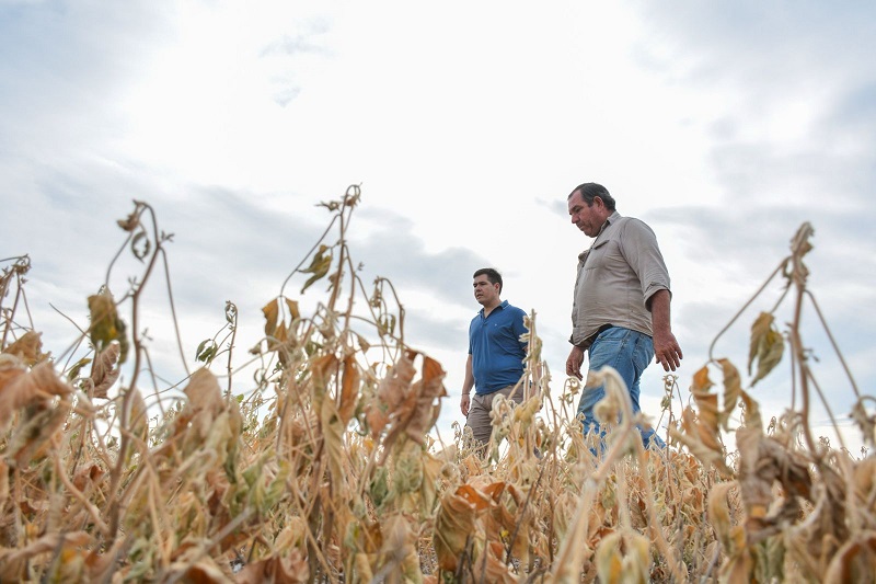 Halavacs recorrió las zonas más afectadas por las altas temperaturas y la sequía en la provincia Halavacs recorrió las zonas más afectadas por las altas temperaturas y la sequía en la provincia