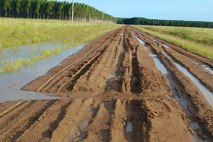Nota al gobernador de Corrientes: productores insisten con el reclamo por mejoras de rutas y caminos provinciales Nota al gobernador de Corrientes: productores insisten con el reclamo por mejoras de rutas y caminos provinciales