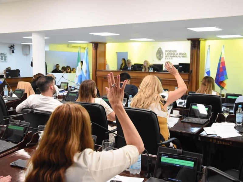 Consejo de la Magistratura: el Poder Legislativo pidió rechazar el amparo contra la designación de Ojeda Consejo de la Magistratura: el Poder Legislativo pidió rechazar el amparo contra la designación de Ojeda