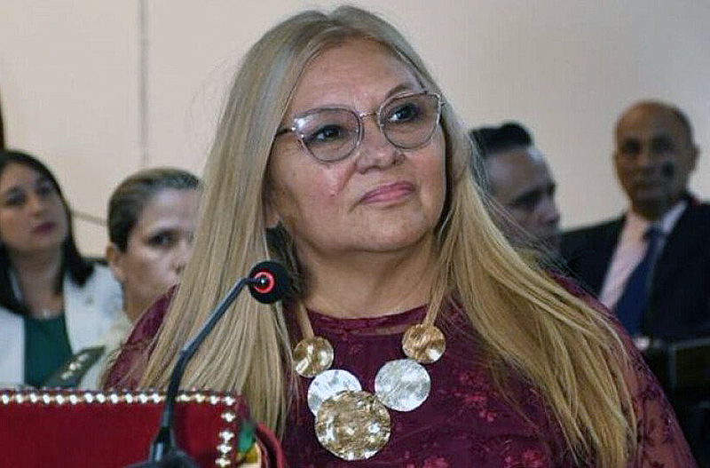 Carmen Delgado: “En la Legislatura del Chaco la construcción es diaria, porque nadie tiene mayoría” Carmen Delgado: “En la Legislatura del Chaco la construcción es diaria, porque nadie tiene mayoría”