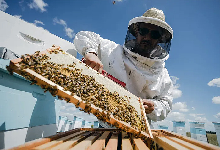 La UTN Resistencia organiza jornada de capacitación para productores apícolas La UTN Resistencia organiza jornada de capacitación para productores apícolas