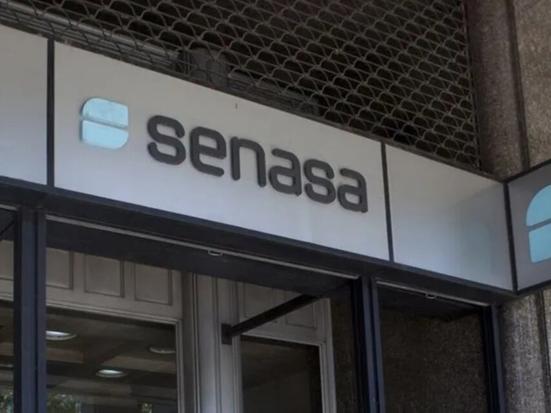 Paro en el Senasa en rechazo a la Ley Bases Paro en el Senasa en rechazo a la Ley Bases