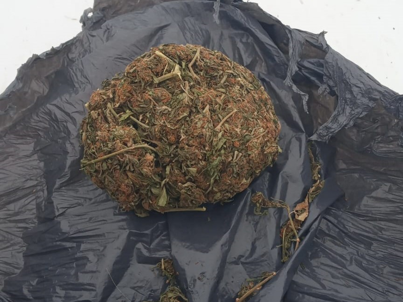 Lo detuvieron en la terminal de ómnibus por llevar estupefacientes Lo detuvieron en la terminal de ómnibus por llevar estupefacientes