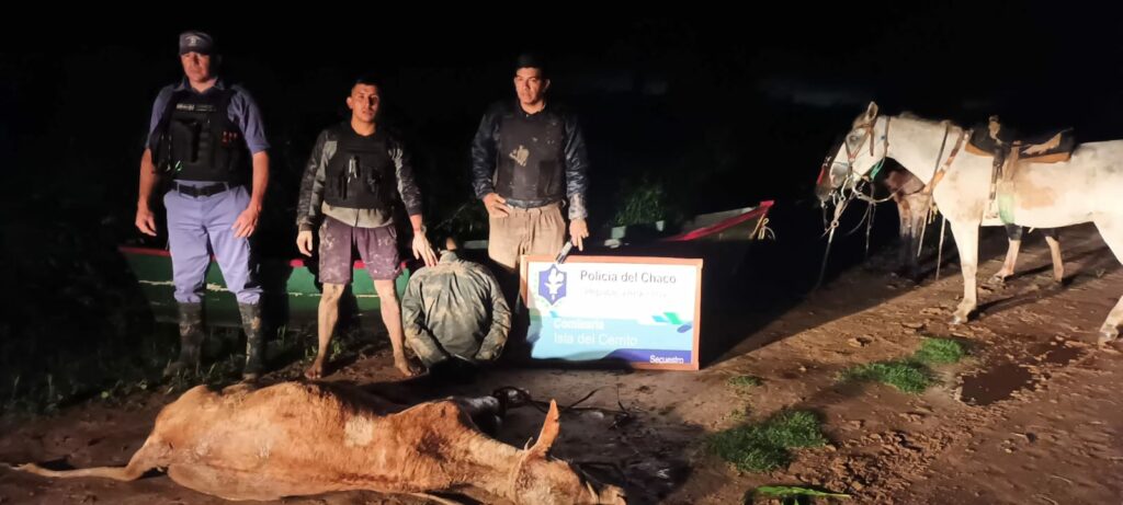 En una canoa pretendían pasar el rio con una vaquilla robada en la Isla del Cerrito