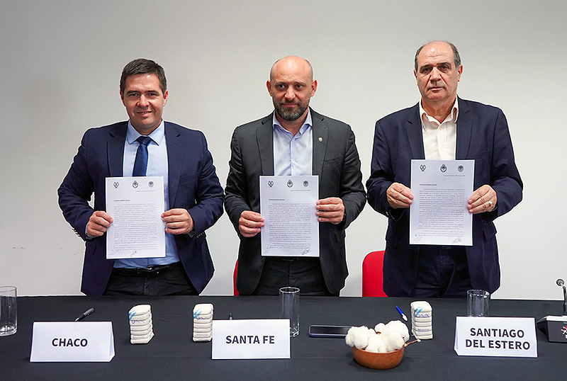 Algodón: Chaco, Santa Fe y Santiago del Estero pedirán a Nación y a legisladores por la prórroga de la ley que respalda el cultivo Algodón: Chaco, Santa Fe y Santiago del Estero pedirán a Nación y a legisladores por la prórroga de la ley que respalda el cultivo