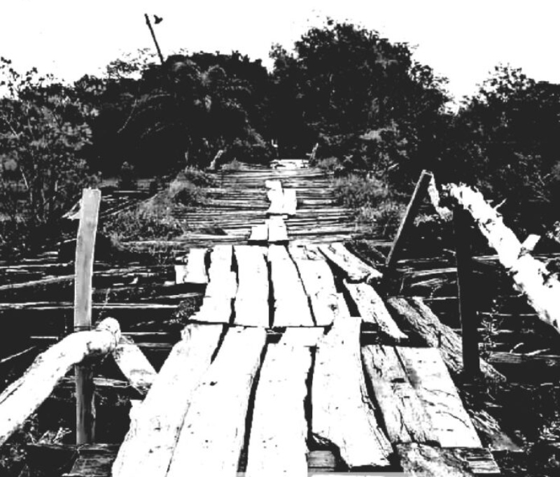 Proyecto “Construimos puentes, nos dibujamos” del CCN Proyecto “Construimos puentes, nos dibujamos” del CCN