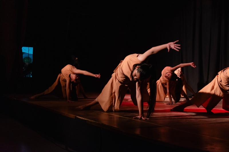 El Día Nacional de la Danza se festejará con una gala en el Guido Miranda El Día Nacional de la Danza se festejará con una gala en el Guido Miranda