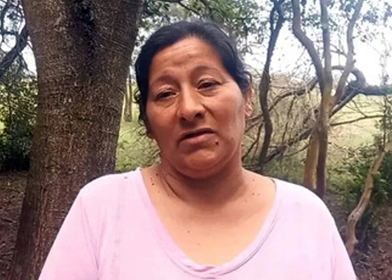 Caso Loan: imputaron a Laudelina y declarará frente a los fiscales Caso Loan: imputaron a Laudelina y declarará frente a los fiscales