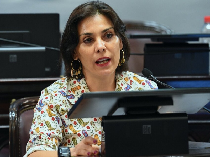 Senadora neuquina vota la ley Bases y se va a la Embajada de la Unesco en París Senadora neuquina vota la ley Bases y se va a la Embajada de la Unesco en París