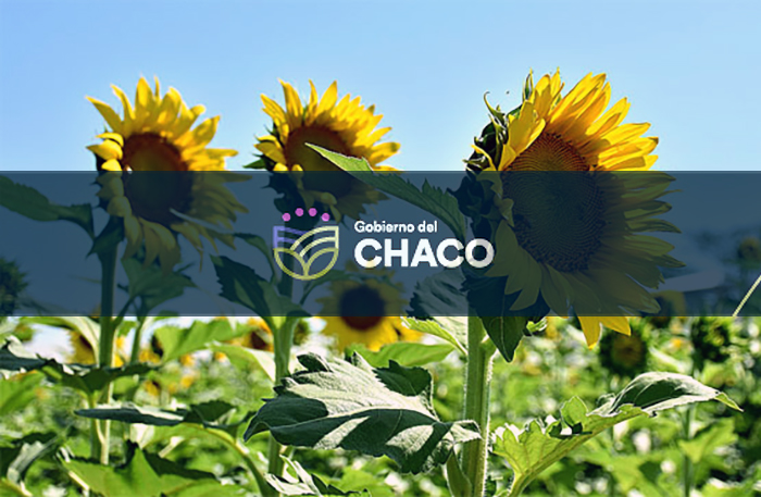 El Gobierno anunció que expondrá líneas y acciones destinadas al fortalecimiento del sector productivo en Agronea 2024 El Gobierno anunció que expondrá líneas y acciones destinadas al fortalecimiento del sector productivo en Agronea 2024