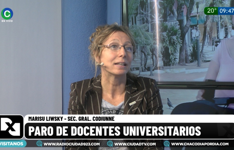 Paro universitario: “Esto se soluciona con una ley clara de presupuesto que no tenga que ver con la discrecionalidad de cada gobierno” Paro universitario: “Esto se soluciona con una ley clara de presupuesto que no tenga que ver con la discrecionalidad de cada gobierno”