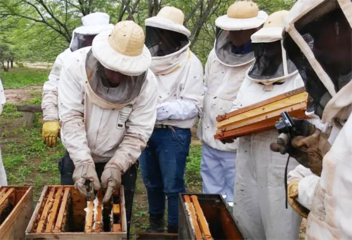 Preparan la 2ª Fiesta de la Miel Centrochaqueña en Sáenz Peña Preparan la 2ª Fiesta de la Miel Centrochaqueña en Sáenz Peña