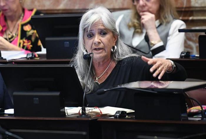 Senado Mariainespilattivergara 2024