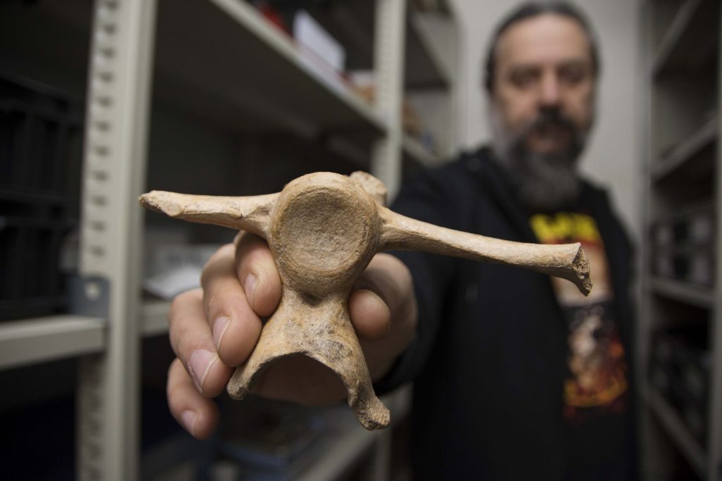 Científicos argentinos descubren el registro de presencia humana más antiguo de Sudamérica Científicos argentinos descubren el registro de presencia humana más antiguo de Sudamérica