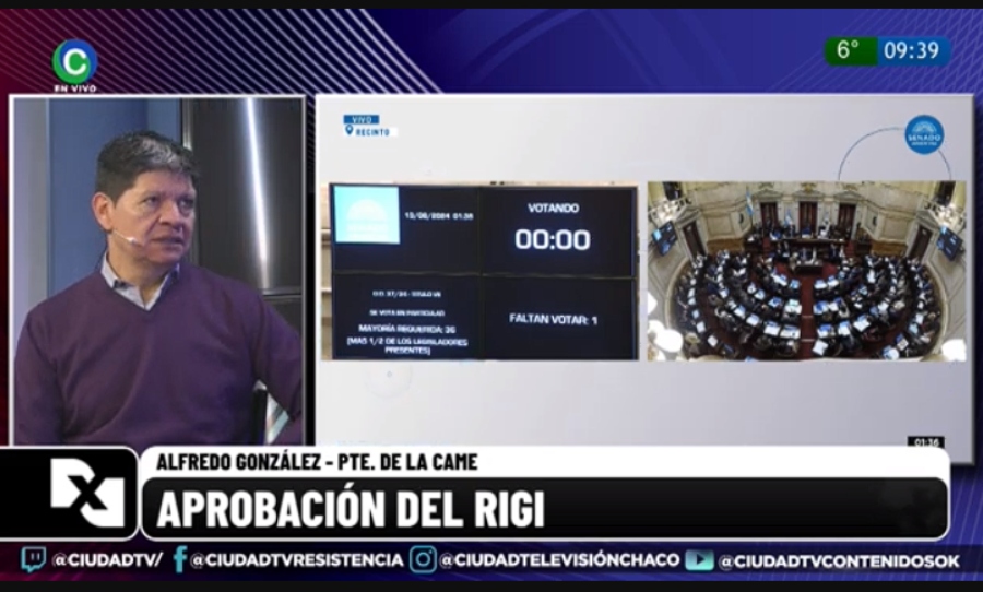 CAME: “Estamos trabajando en proyectos para generar una nueva ley pyme adecuada a las circunstancias” CAME: “Estamos trabajando en proyectos para generar una nueva ley pyme adecuada a las circunstancias”