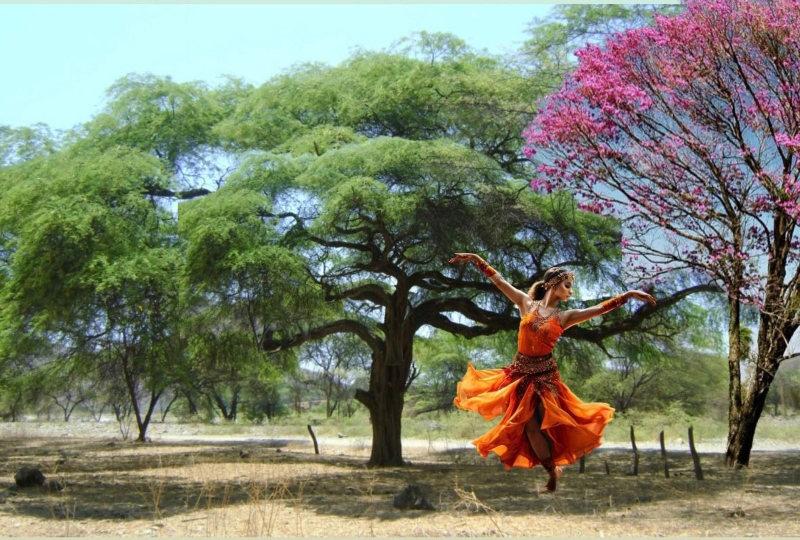Alma Monte: una celebración a pura danza Alma Monte: una celebración a pura danza