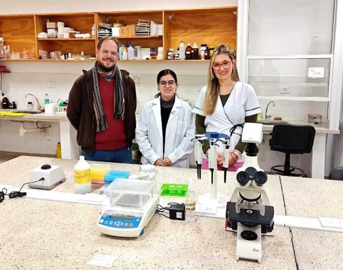 Cerastium glomeratum: becaria indaga los secretos adaptativos de esta maleza invasora Cerastium glomeratum: becaria indaga los secretos adaptativos de esta maleza invasora