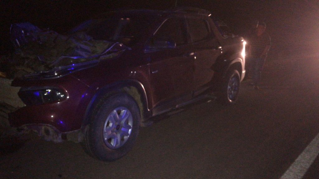 Accidente en Ruta 16: camioneta atropelló a un caballo y una mujer resultó con heridas leves