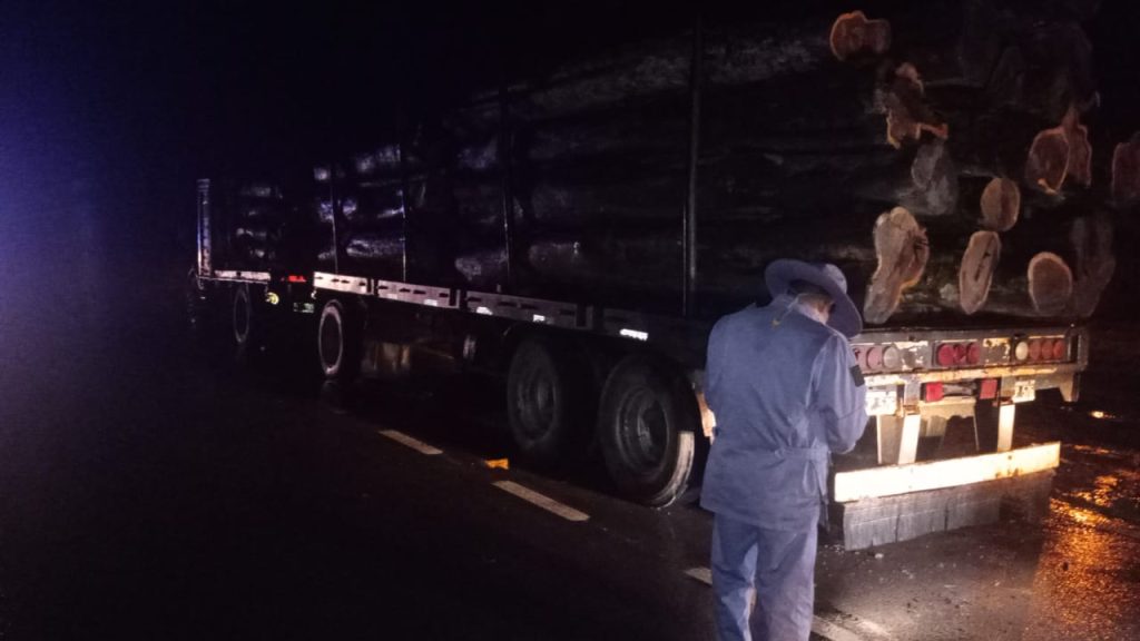 Secuestraron 35 mil kilos de madera por no contar con la documentación requerida