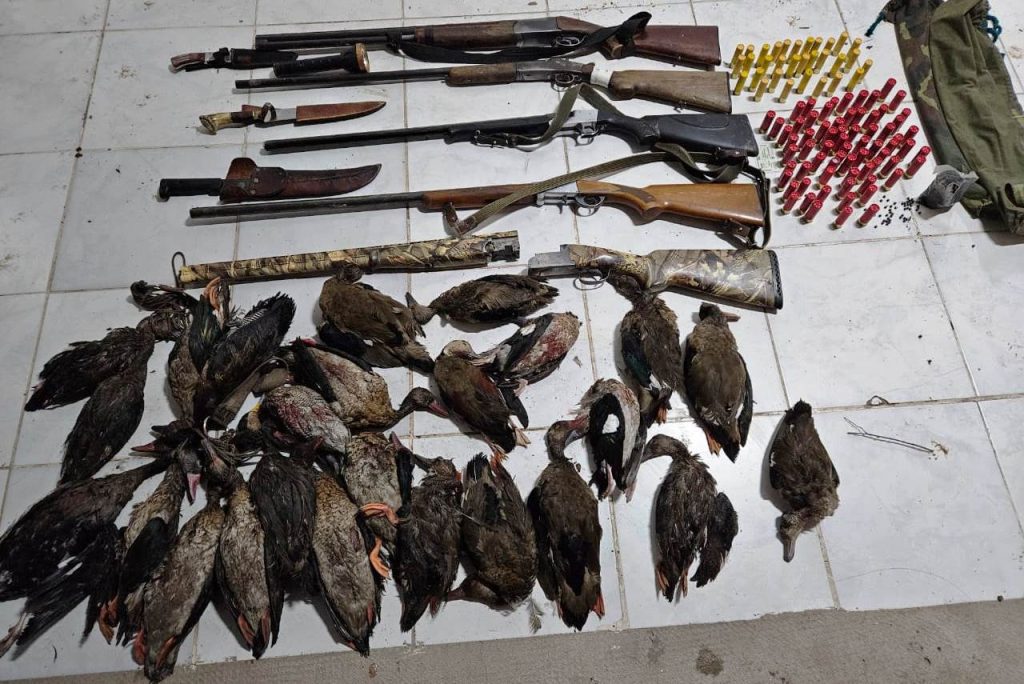 Detuvieron a siete personas acusadas de caza furtiva en La Verde