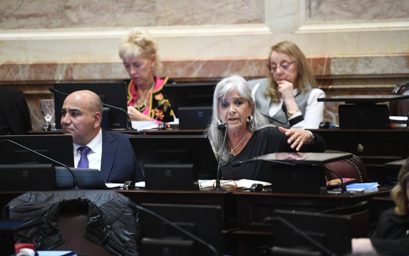 Pilatti Vergara: “El Gobierno está tirando demasiado de la cuerda” Pilatti Vergara: “El Gobierno está tirando demasiado de la cuerda”