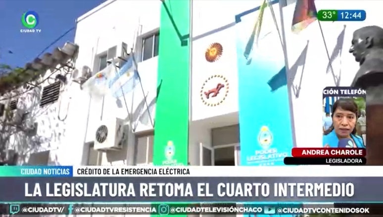 Charole: “Desde CER vamos a acompañar el pedido de 150 millones de dólares” Charole: “Desde CER vamos a acompañar el pedido de 150 millones de dólares”