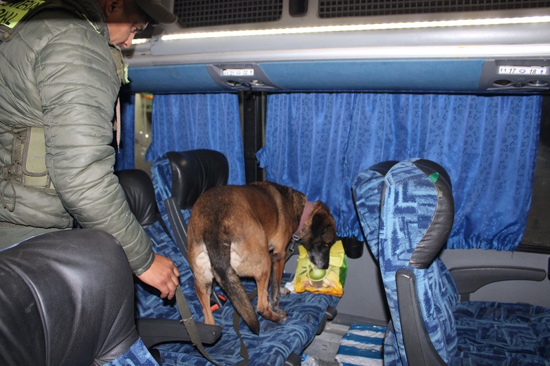 Puente Chaco-Corrientes: inspeccionaron un ómnibus y hallaron un ladrillo de cocaína Puente Chaco-Corrientes: inspeccionaron un ómnibus y hallaron un ladrillo de cocaína