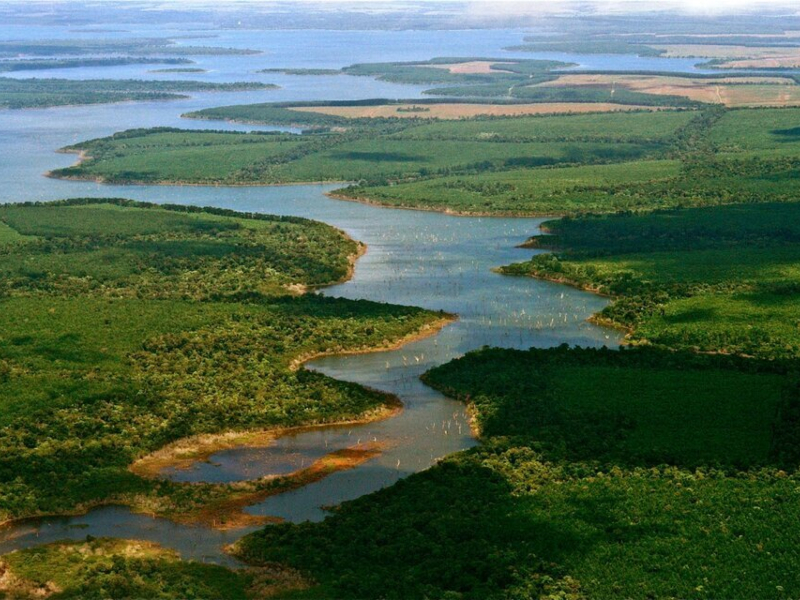 Una turista italiana denunció que fue violada en los Esteros del Iberá Una turista italiana denunció que fue violada en los Esteros del Iberá