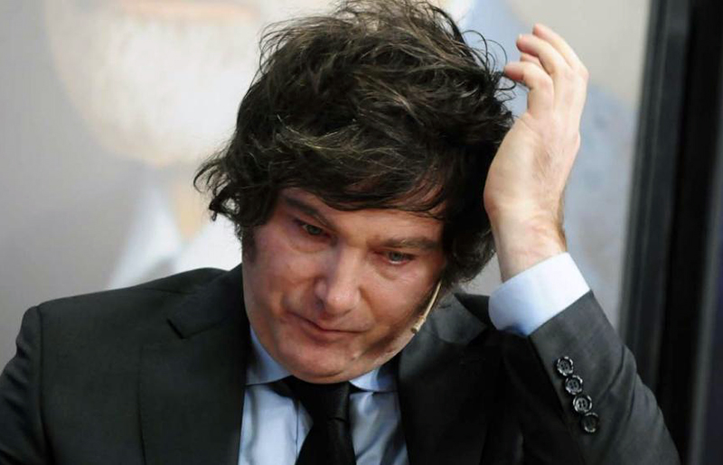 A nueve meses de gobierno, la imagen de Milei en un tobogán de caída constante A nueve meses de gobierno, la imagen de Milei en un tobogán de caída constante