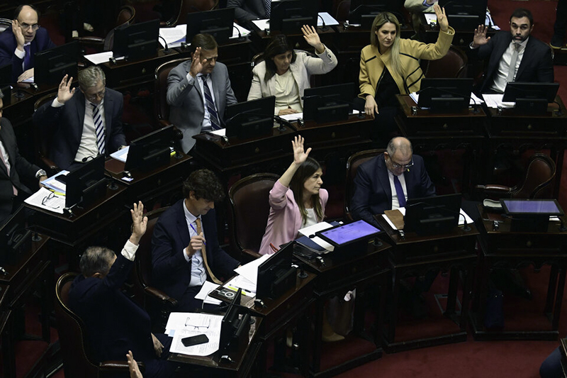 El Senado avanza en una reforma de la ley que regula el trámite de los DNU El Senado avanza en una reforma de la ley que regula el trámite de los DNU