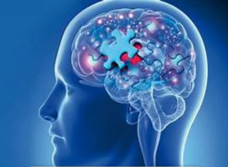 Día Mundial del Alzheimer: cómo prevenirlo y mantener sano el cerebro Día Mundial del Alzheimer: cómo prevenirlo y mantener sano el cerebro