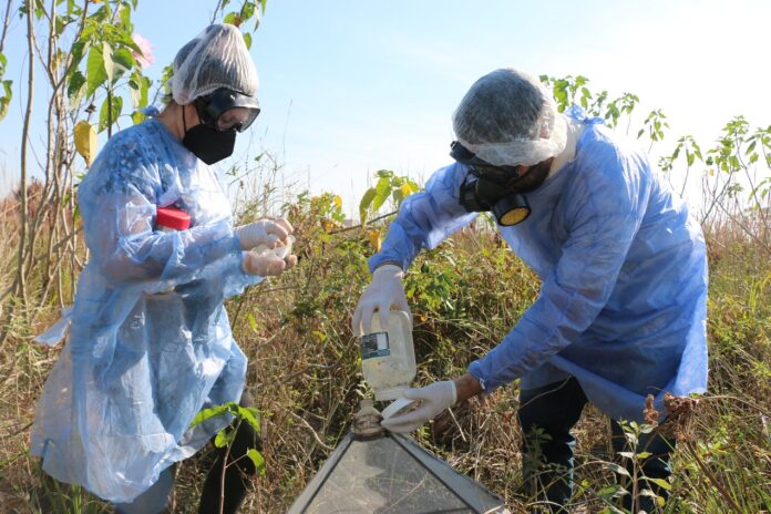 La UNNE accedió a 114 becas de estímulos a las vocaciones científicas La UNNE accedió a 114 becas de estímulos a las vocaciones científicas