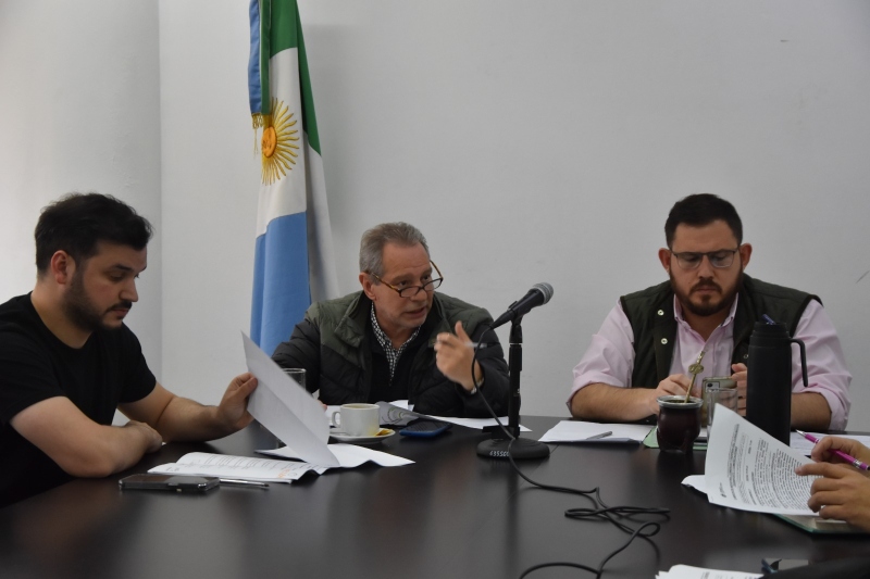 Despacho dividido para la emergencia económica del servicio de transporte de cargas Despacho dividido para la emergencia económica del servicio de transporte de cargas