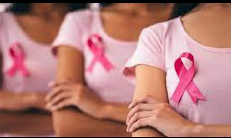 Dia Internacional sobre la concientización y la lucha contra el cáncer de mama Dia Internacional sobre la concientización y la lucha contra el cáncer de mama